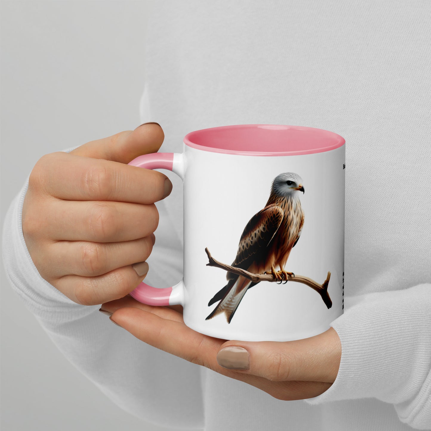 320ml Mug with Colour Inside Birds of Europe 10 Red Kite