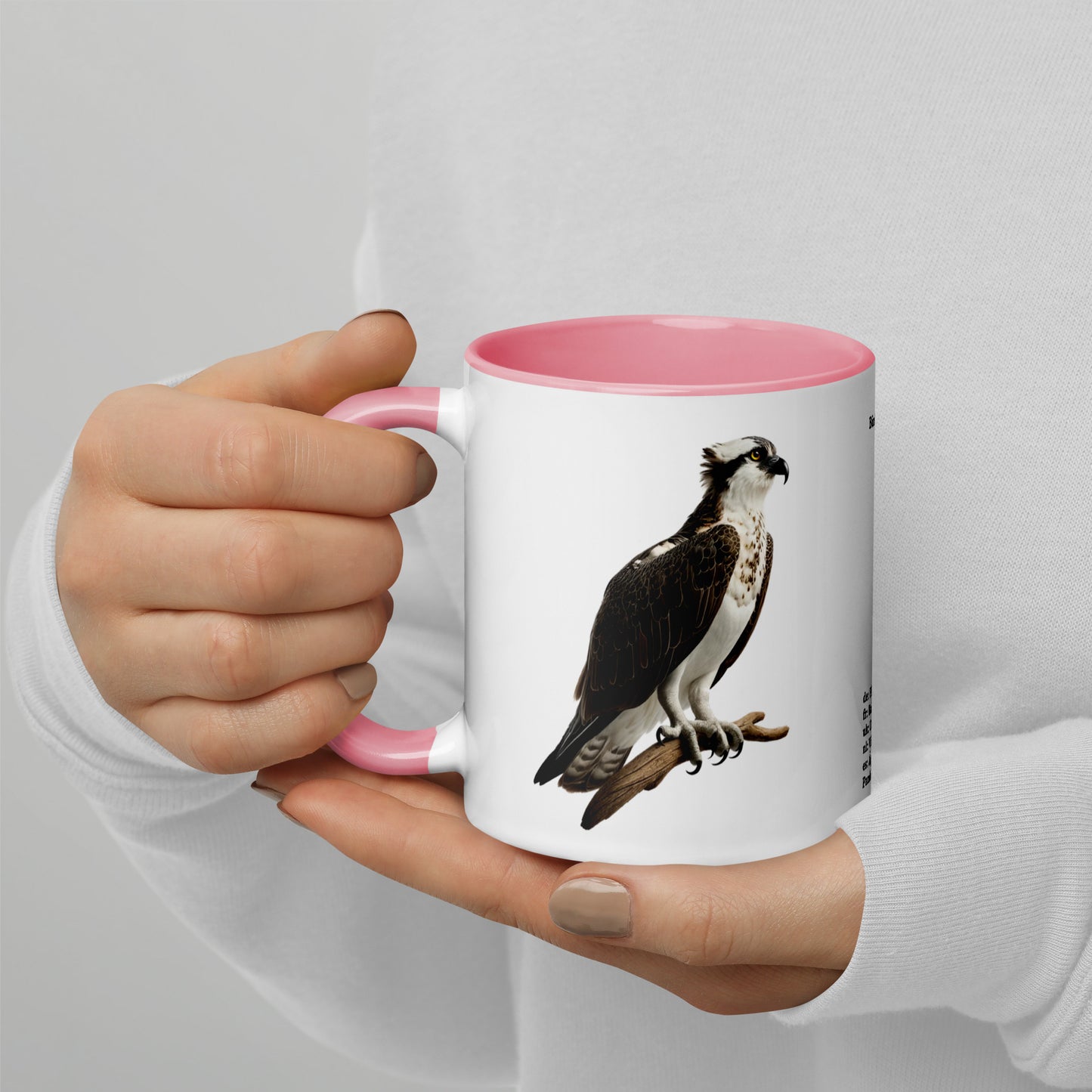 320ml Mug with Colour Inside Birds of Europe 13 Fischadler