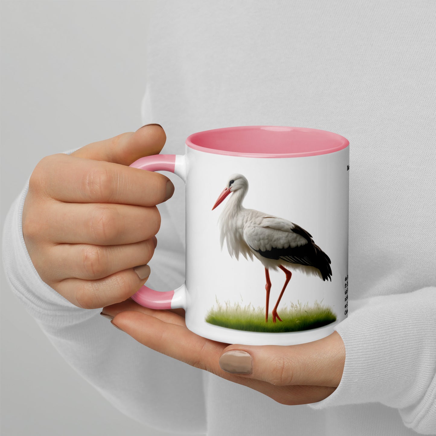 320ml Mug with Colour Inside Birds of Europe 16 Weissstorch