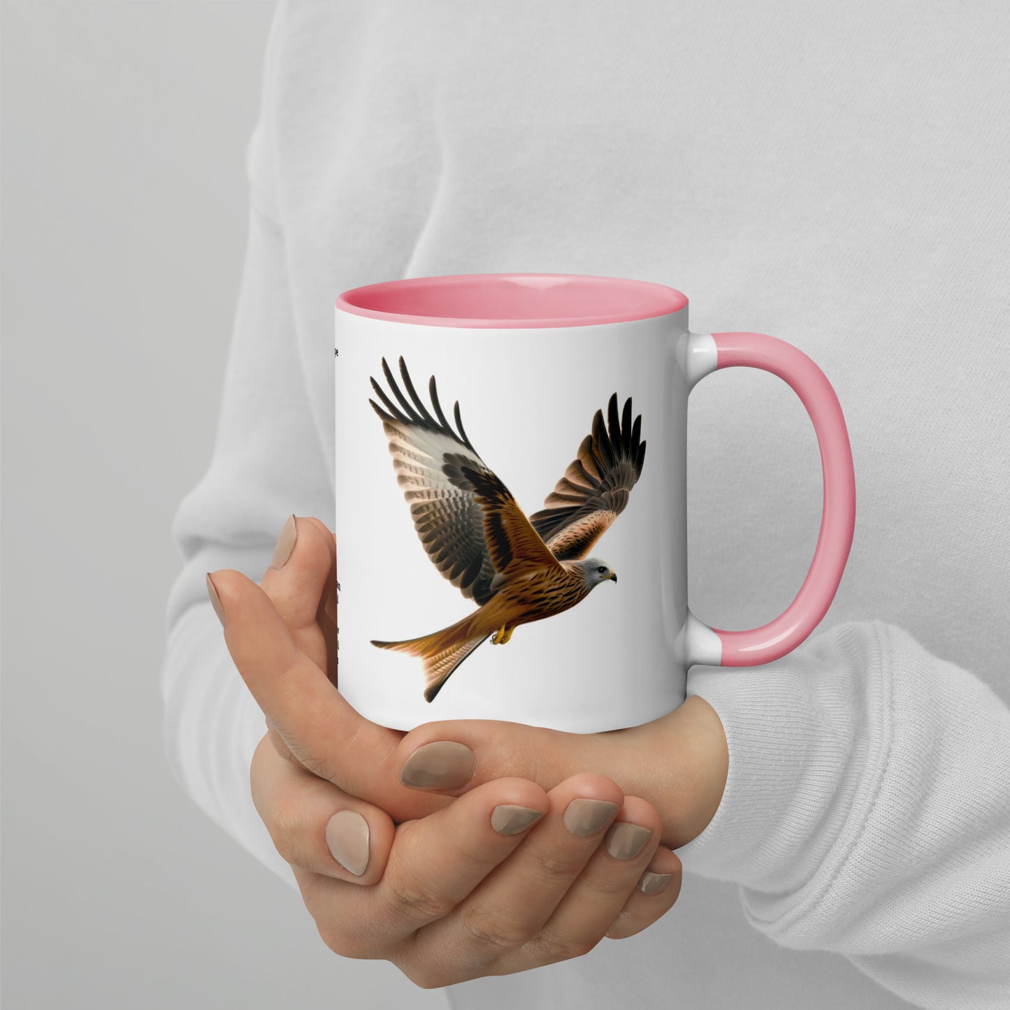 320ml Mug with Colour Inside Birds of Europe 10 Red Kite