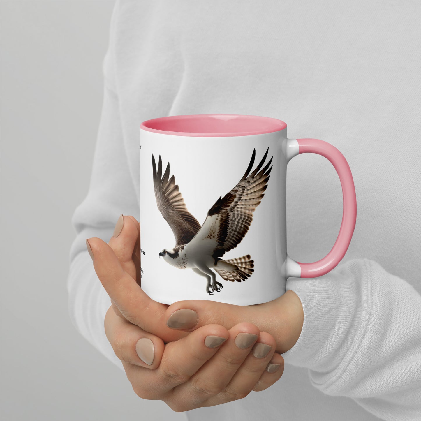 320ml Mug with Colour Inside Birds of Europe 13 Fischadler