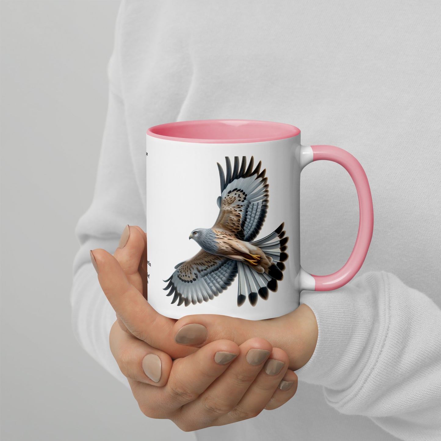 320ml Mug with Colour Inside Birds of Europe 14 Kornweihe