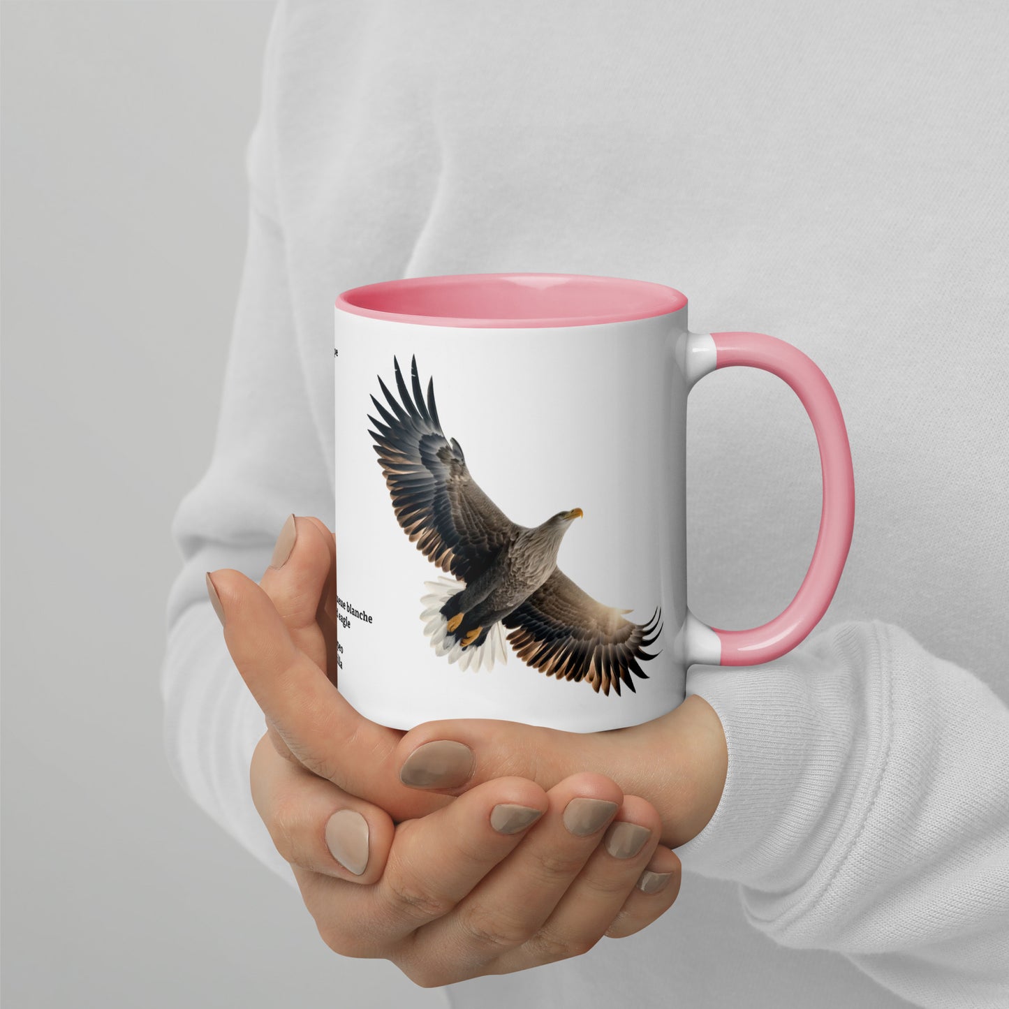 320ml Mug with Colour Inside Birds of Europe 15 Seeadler