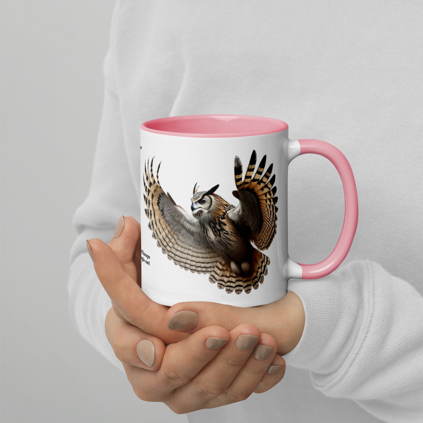 320ml Mug with Colour Inside Birds of Europe 18 Eagle-Owl