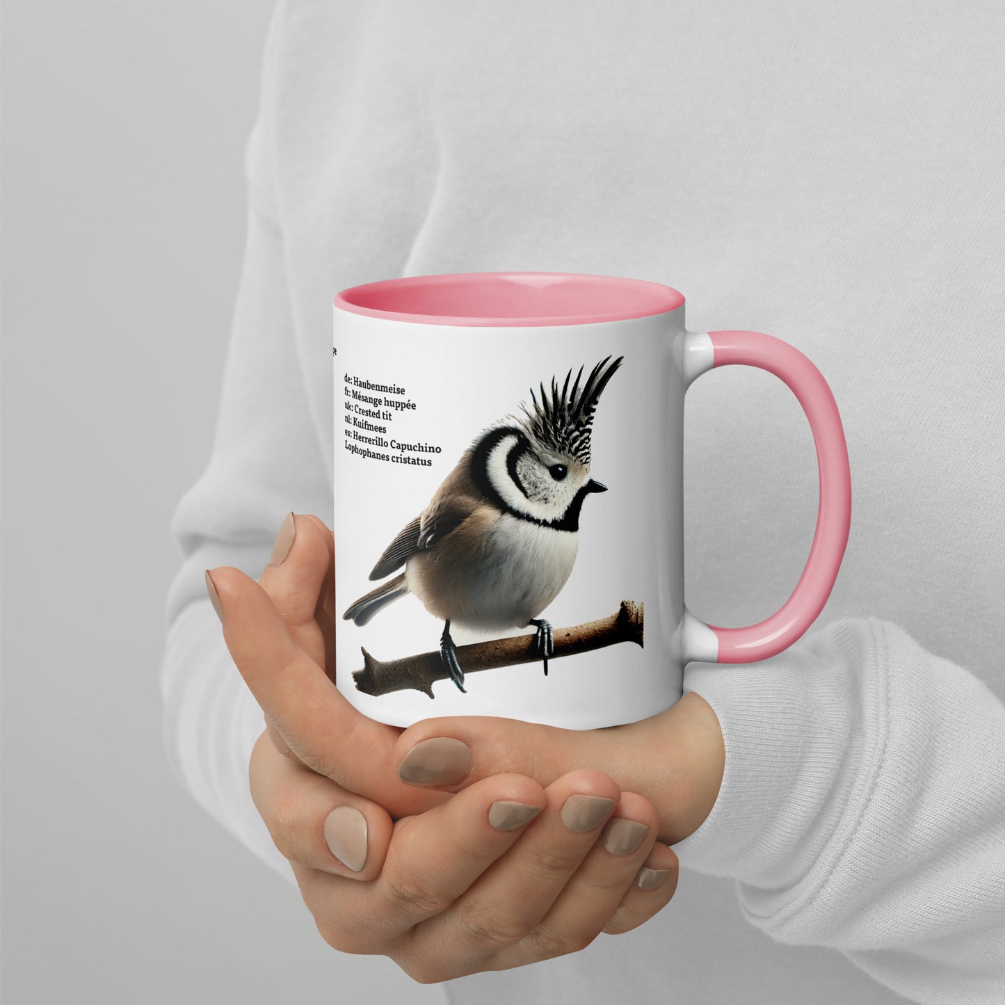 320ml Mug with Colour inside Birds of Europe 01 Sparrow & Crested Tit