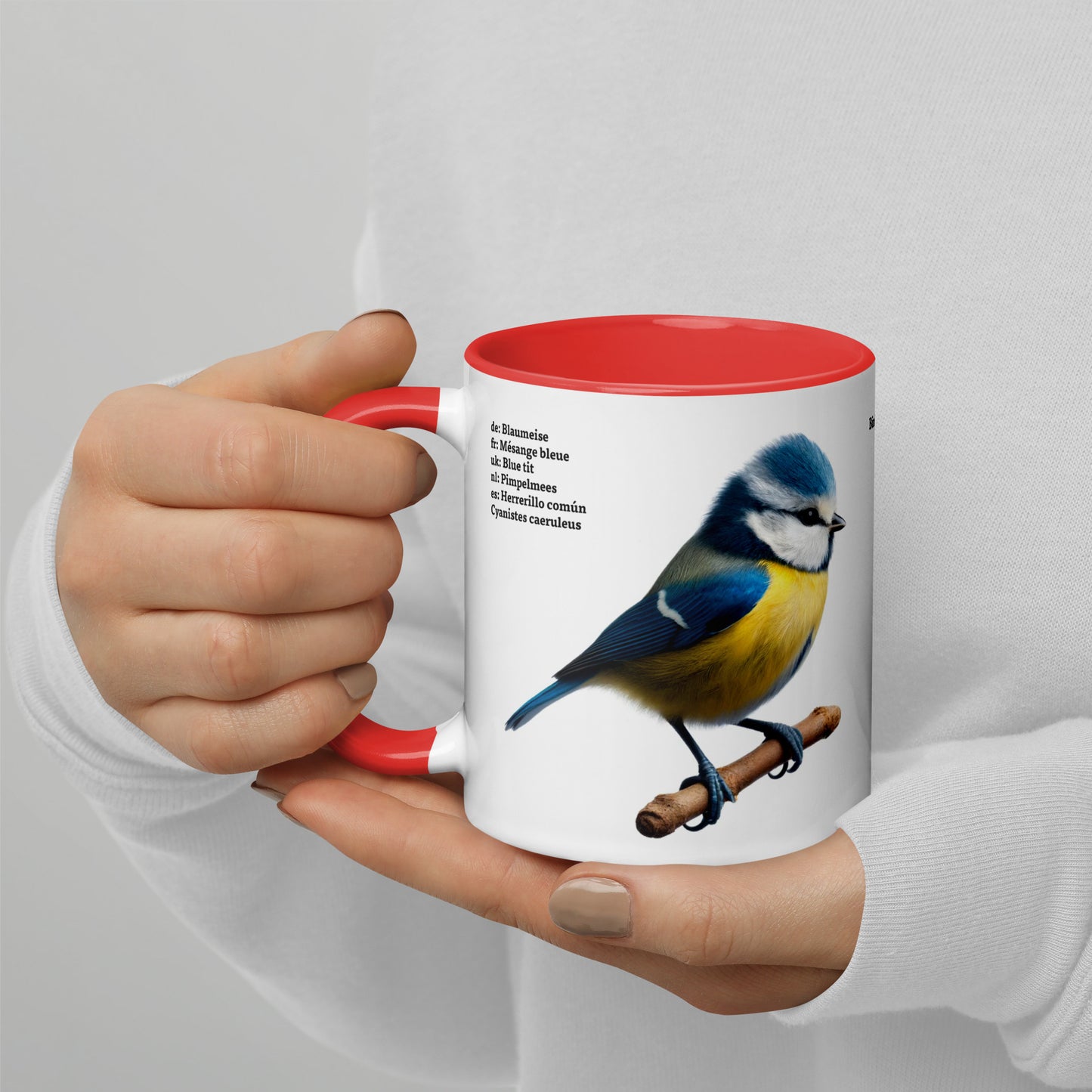 320ml Mug with Colour Inside Birds of Europe 02 Blue Tit & Great Tit