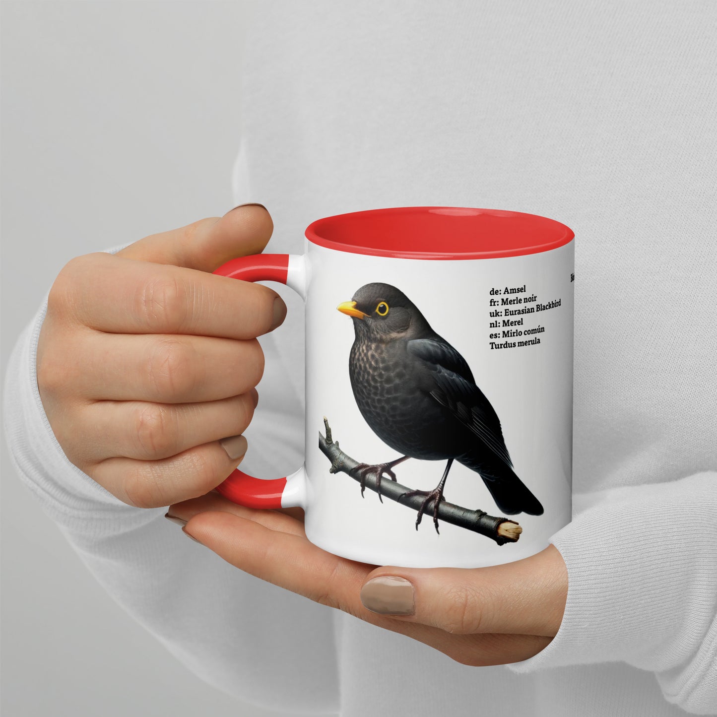 320ml Mug with Colour Inside Birds of Europe 03 Blackbird & Robin