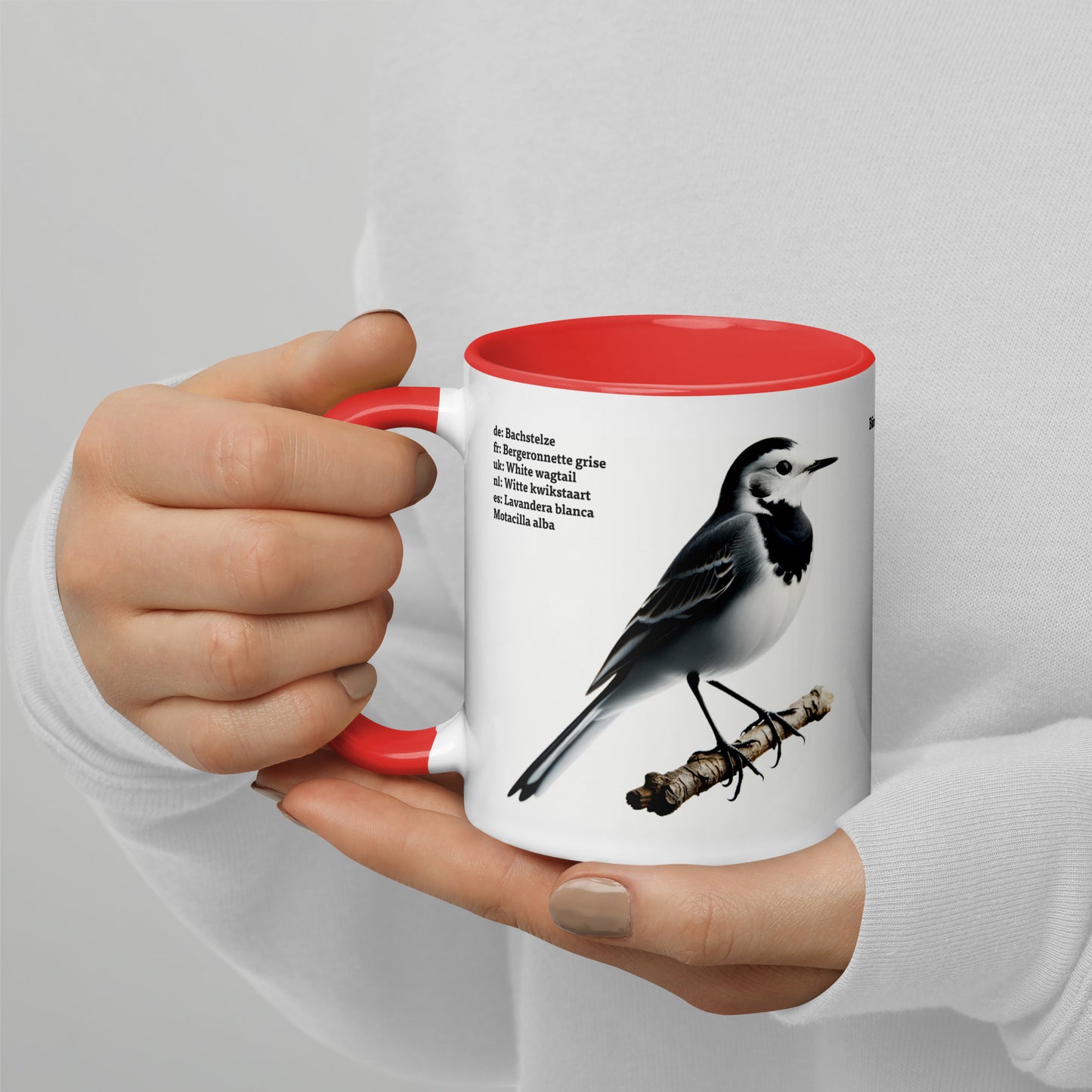 320ml Mug with Colour Inside Birds of Europe 05 White wagtail & Yellowhammer