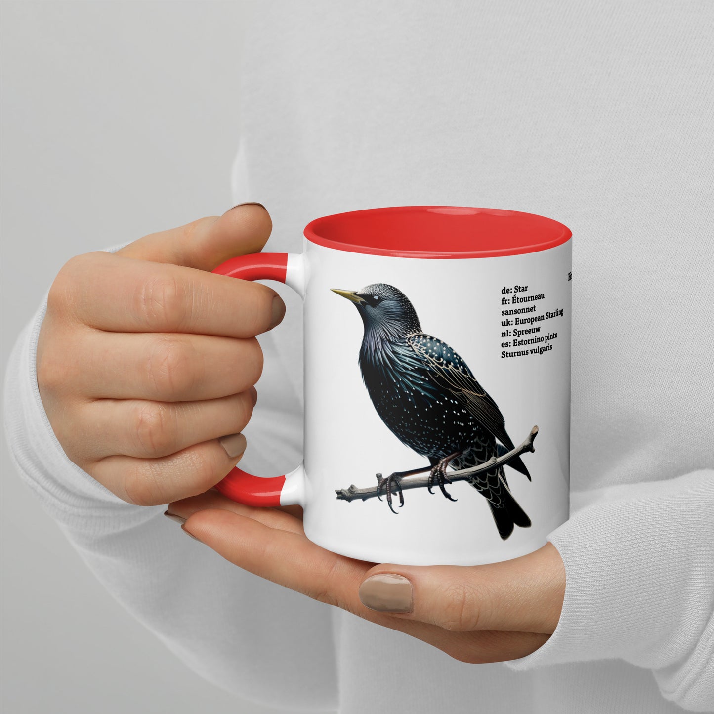 320ml Mug with Colour Inside Birds of Europe 06 Starling & Chaffinch