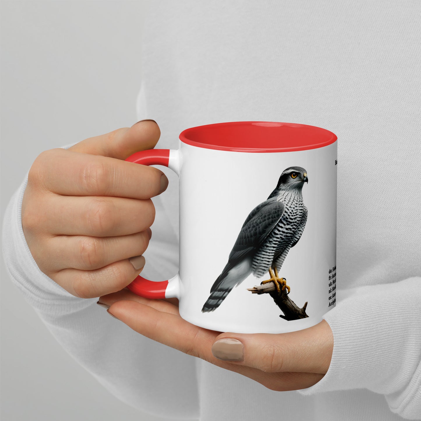 320ml Mug with Colour Inside Birds of Europe 09 Habicht