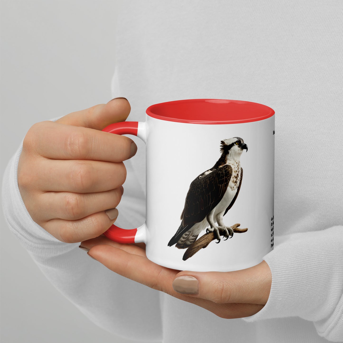 320ml Mug with Colour Inside Birds of Europe 13 Fischadler