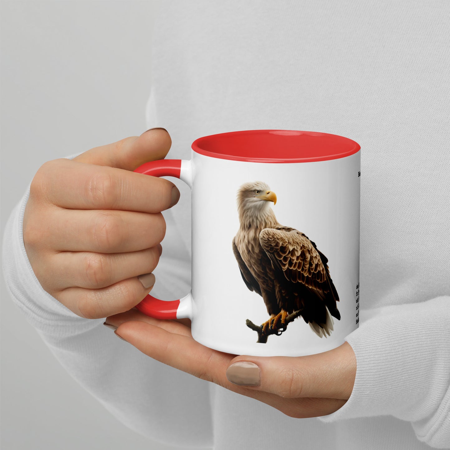 320ml Mug with Colour Inside Birds of Europe 15 Seeadler