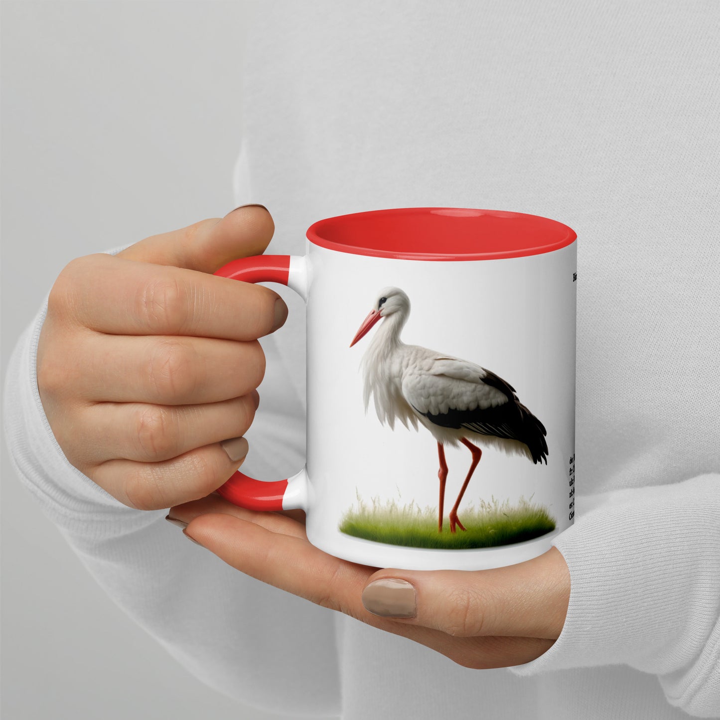 320ml Mug with Colour Inside Birds of Europe 16 Weissstorch