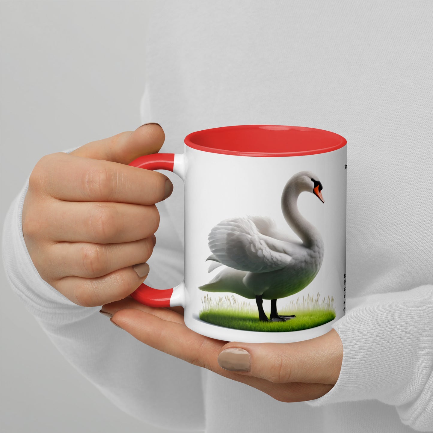 320ml Mug with Colour Inside Birds of Europe 19 Mute Swan