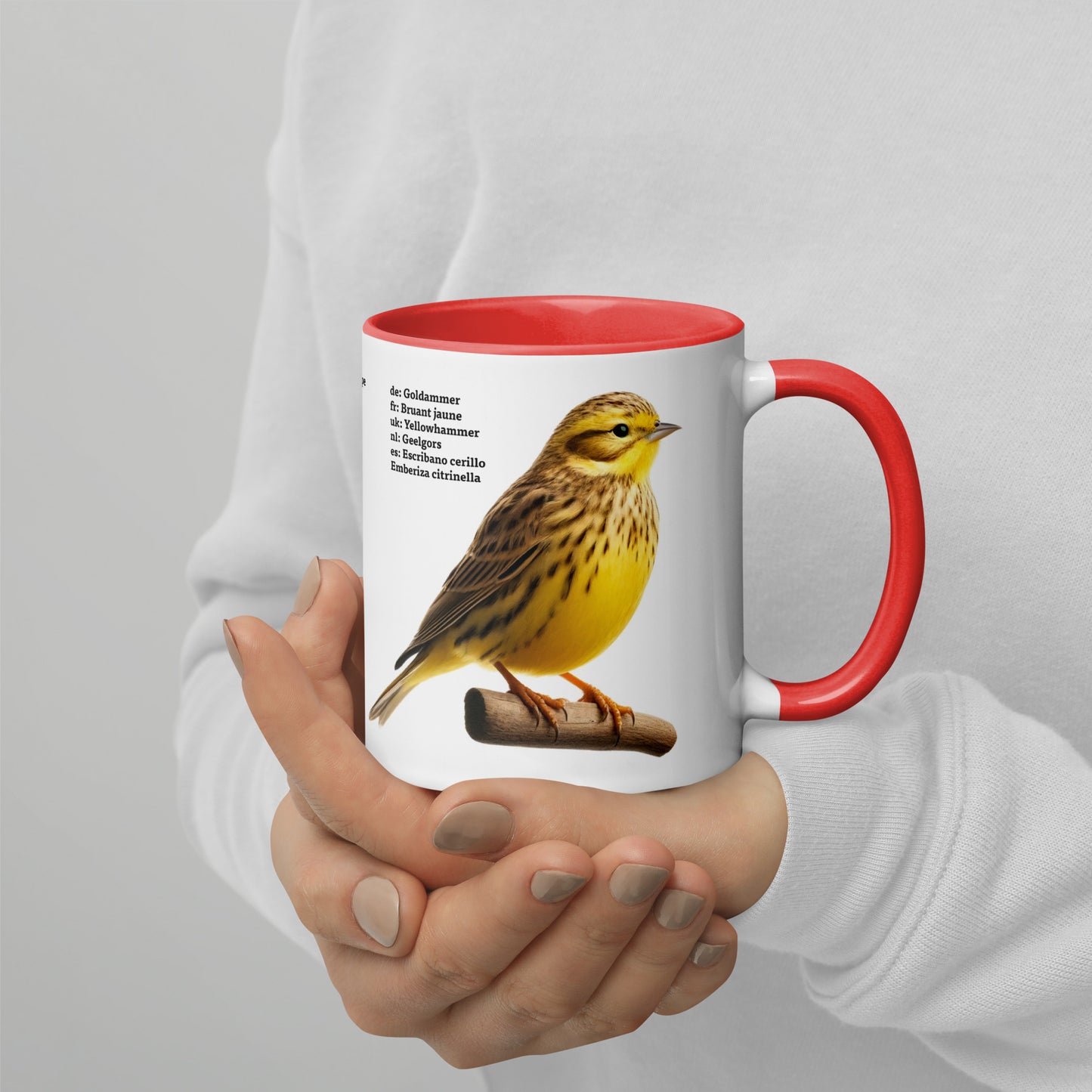 320ml Mug with Colour Inside Birds of Europe 05 White wagtail & Yellowhammer