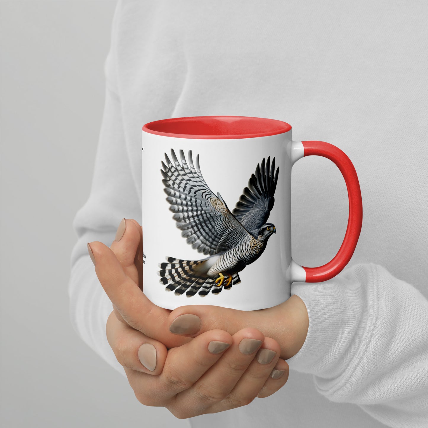 320ml Mug with Colour Inside Birds of Europe 09 Habicht