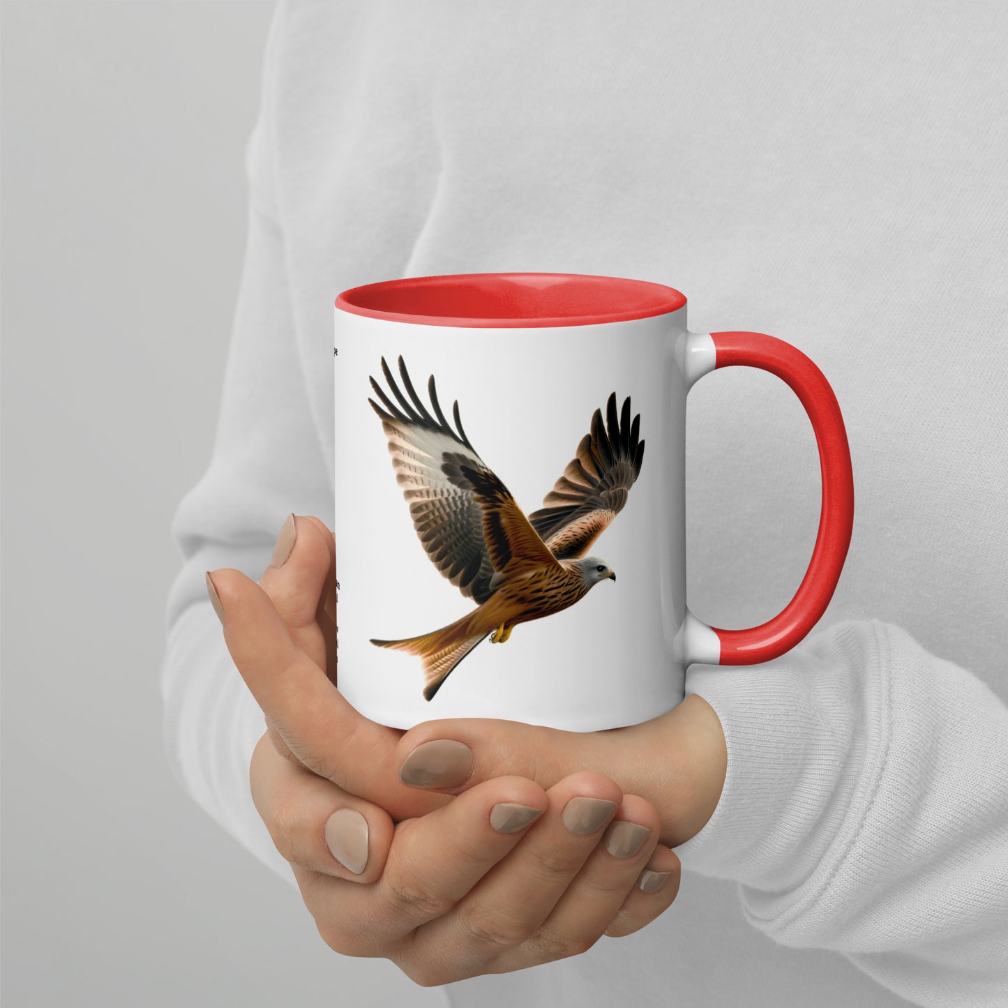 320ml Mug with Colour Inside Birds of Europe 10 Red Kite