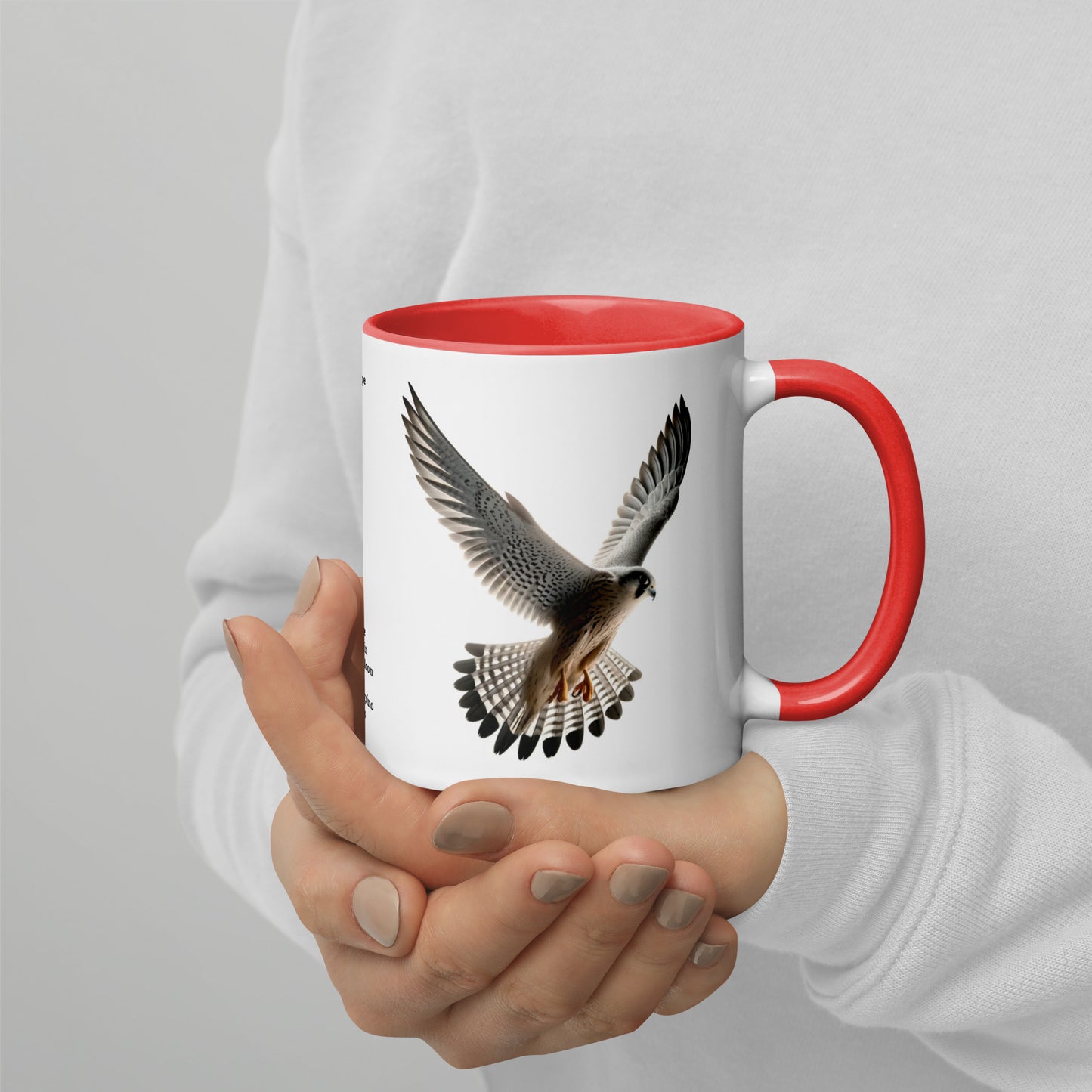 320ml Mug with Colour Inside Birds of Europe 11 Wanderfalke