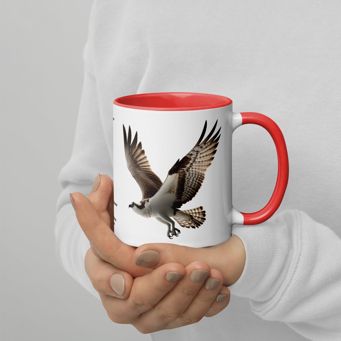 320ml Mug with Colour Inside Birds of Europe 13 Fischadler