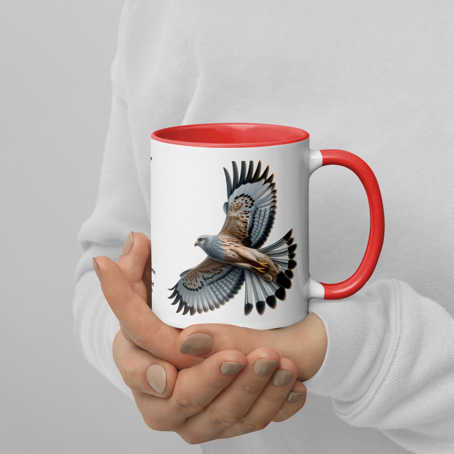 320ml Mug with Colour Inside Birds of Europe 14 Kornweihe