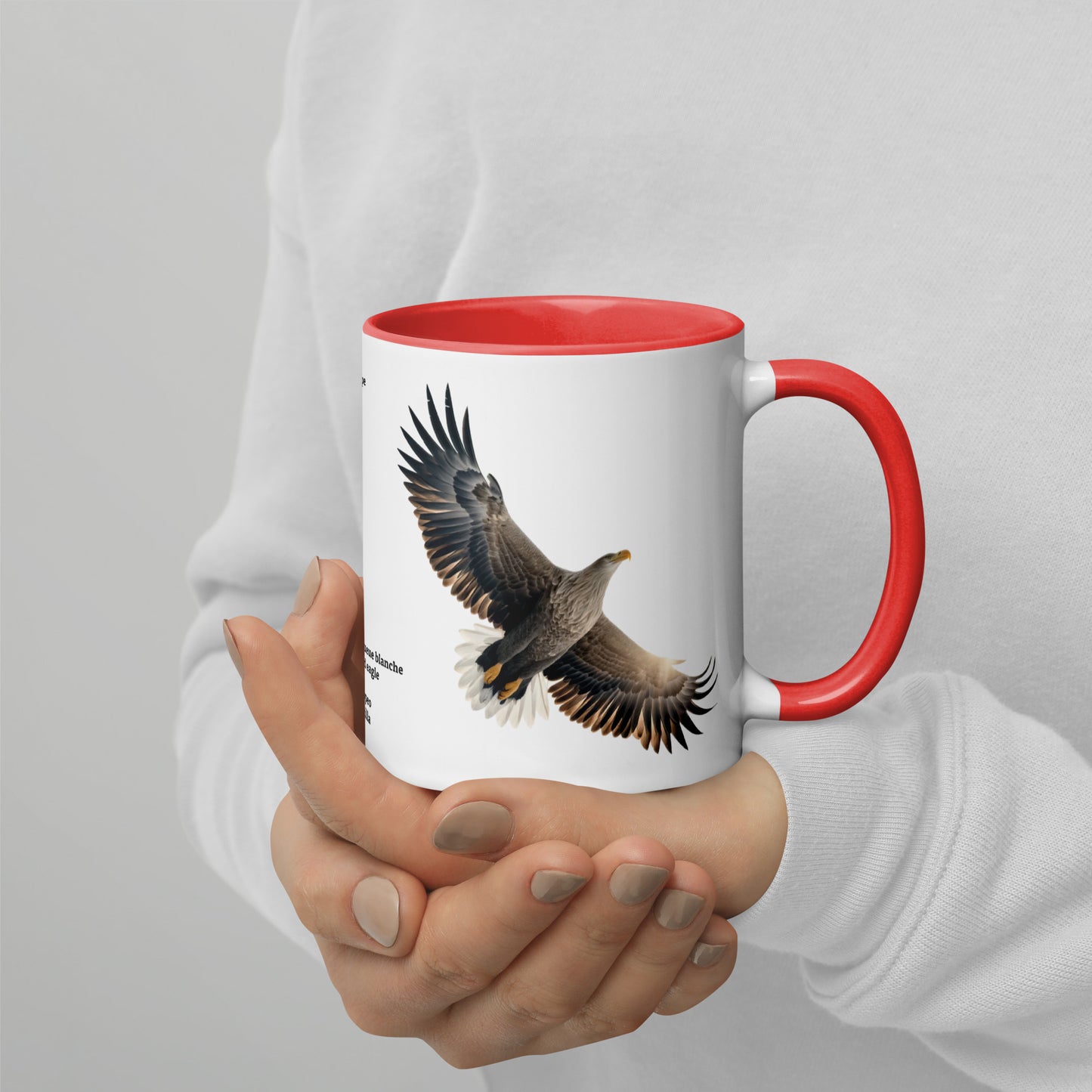 320ml Mug with Colour Inside Birds of Europe 15 Seeadler