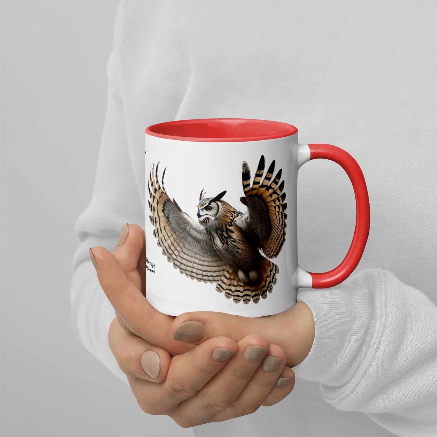 320ml Mug with Colour Inside Birds of Europe 18 Eagle-Owl