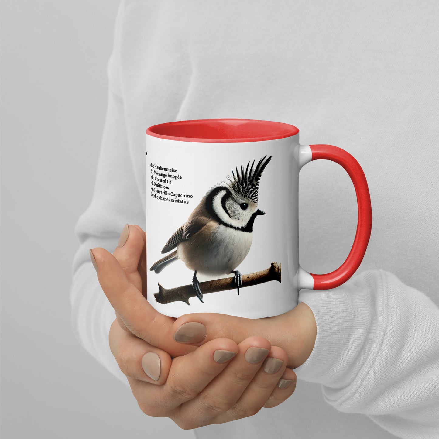 320ml Mug with Colour inside Birds of Europe 01 Sparrow & Crested Tit