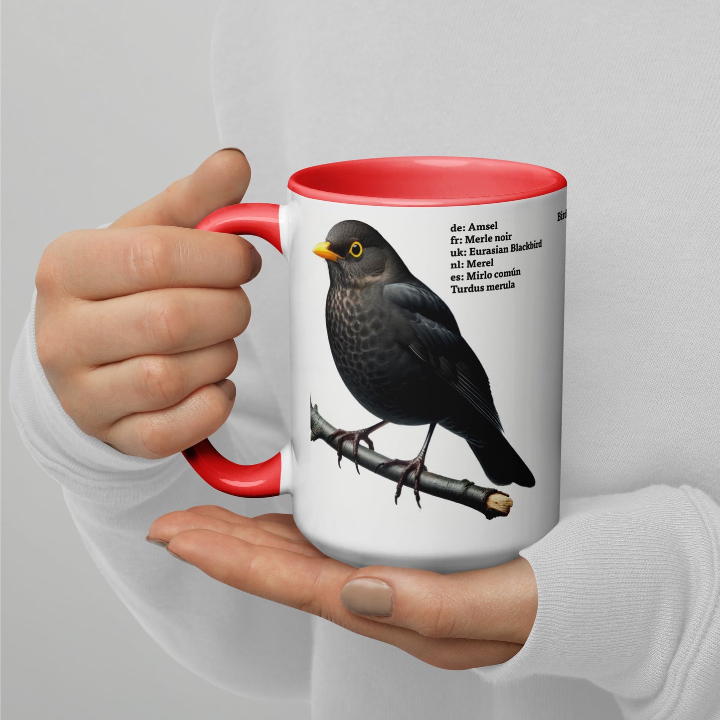 440ml Mug with colour inside Birds of Europe 03 Blackbird & Robin