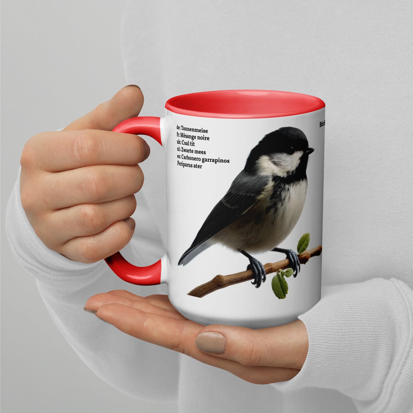 440ml Mug with colour inside Birds of Europe 04 Coal Tit & Collared Dove