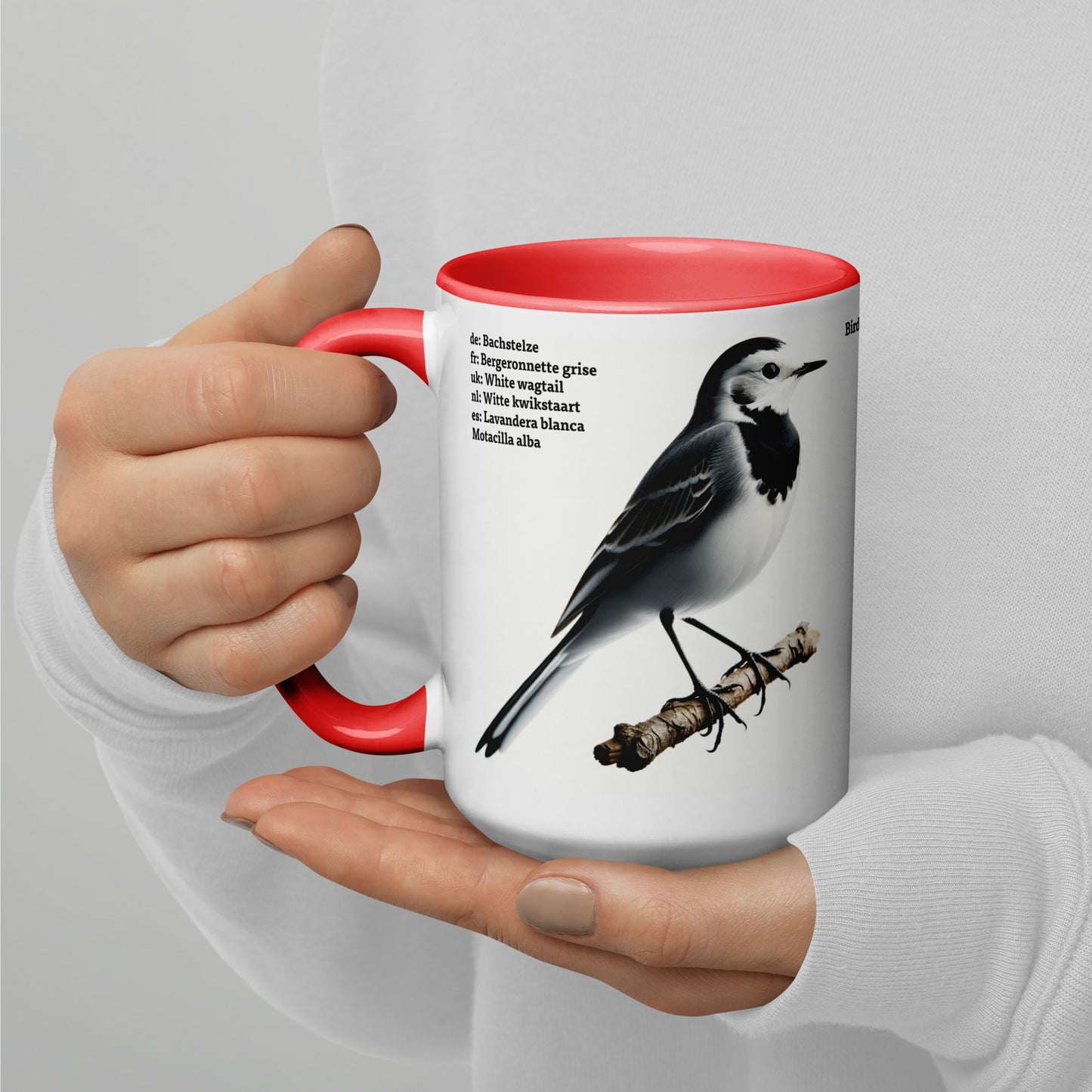 440ml Mug with colour inside Birds of Europe 05 White wagtail & Yellowhammer