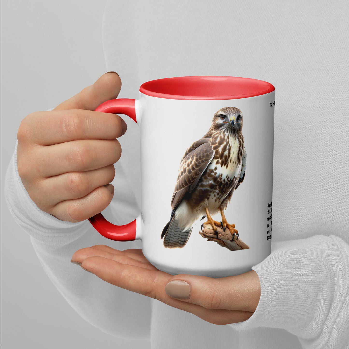 440ml Mug with colour inside Birds of Europe 07 Buzzard