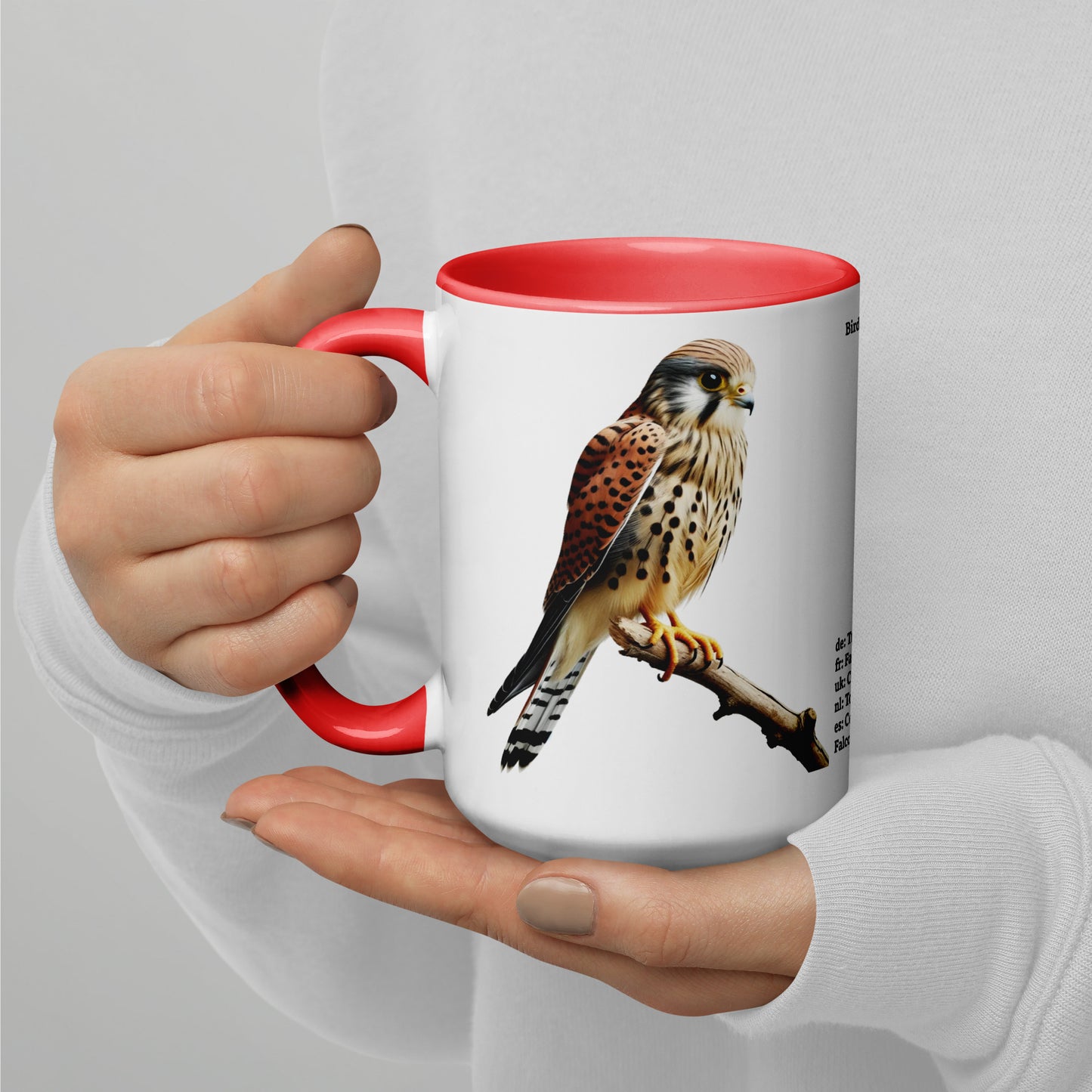 440ml Mug with colour inside Birds of Europe 08 Kestrel