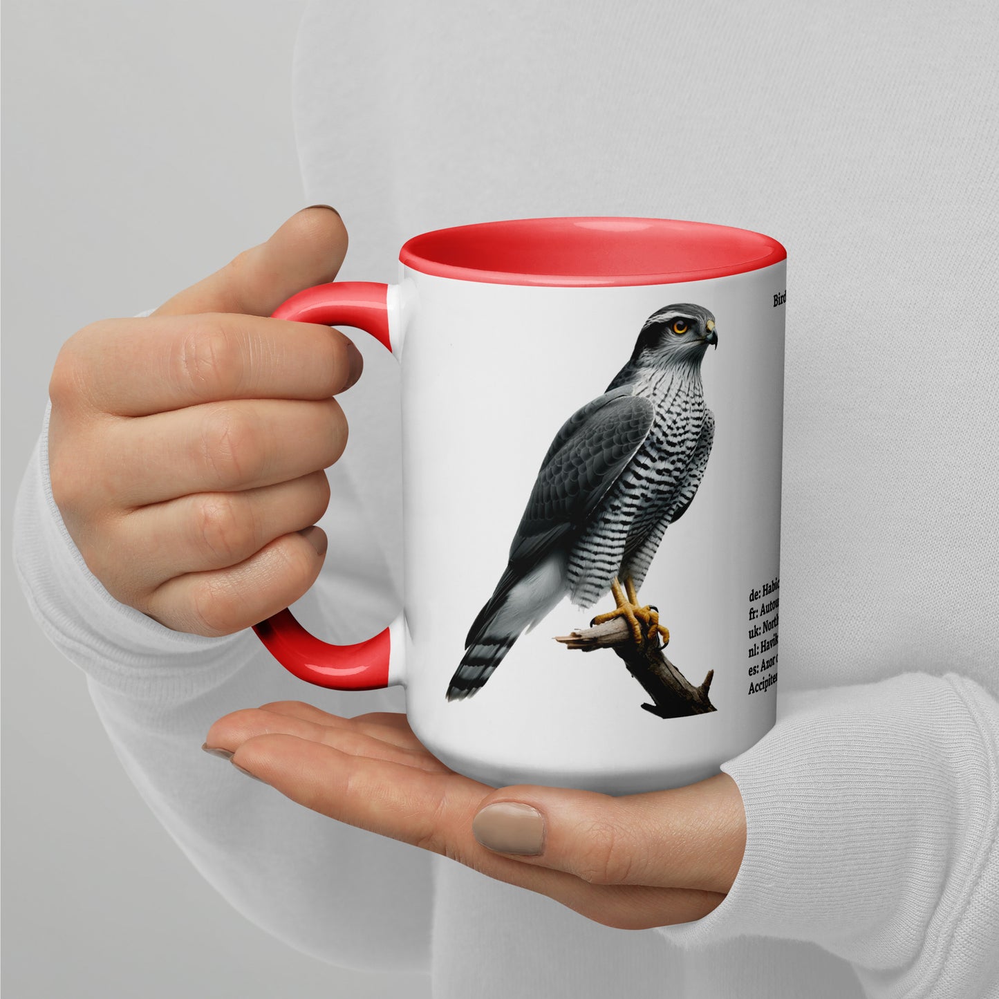 440ml Mug with colour inside Birds of Europe 09 Northern Goshawk