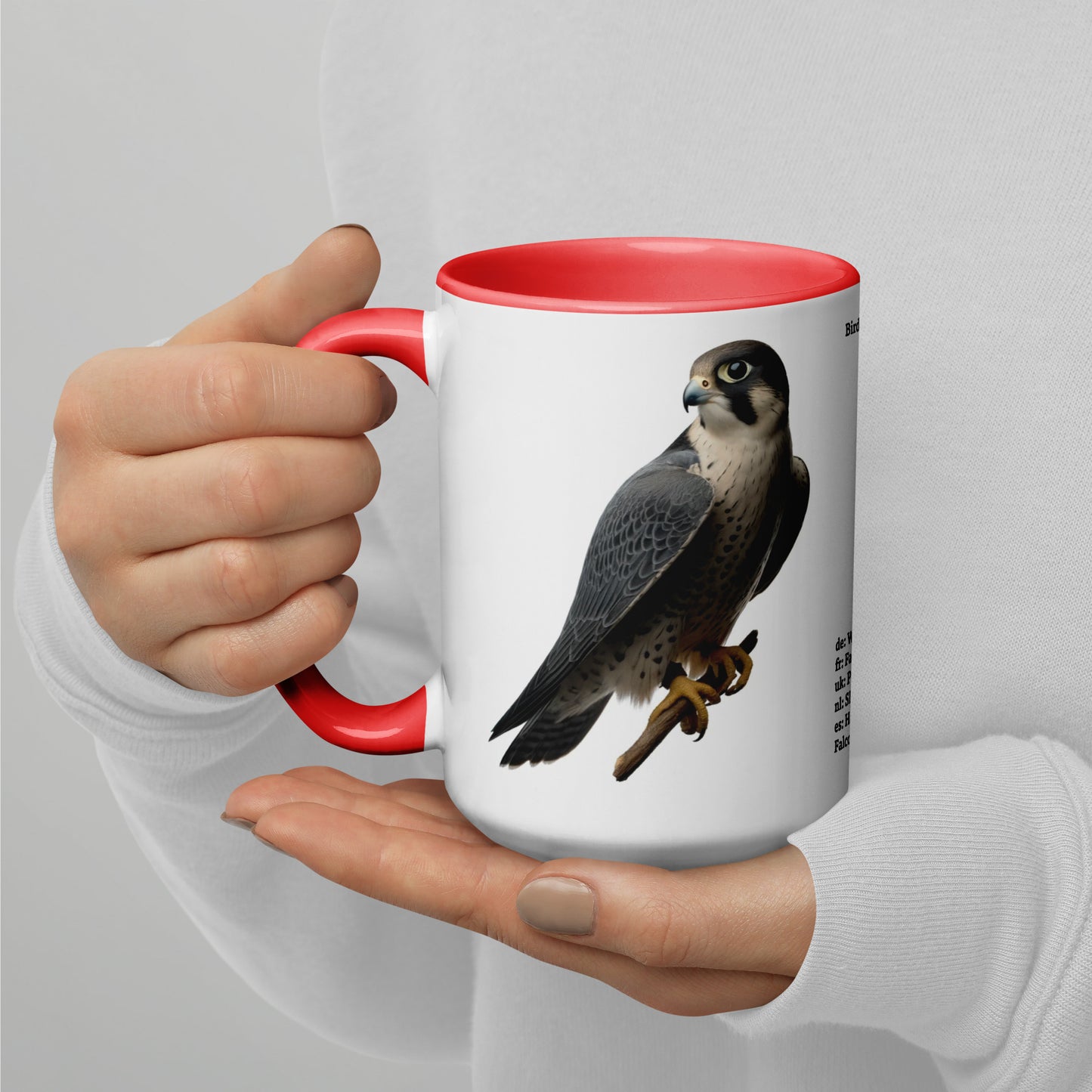 440ml Mug with colour inside Birds of Europe 11 Peregrine falcon