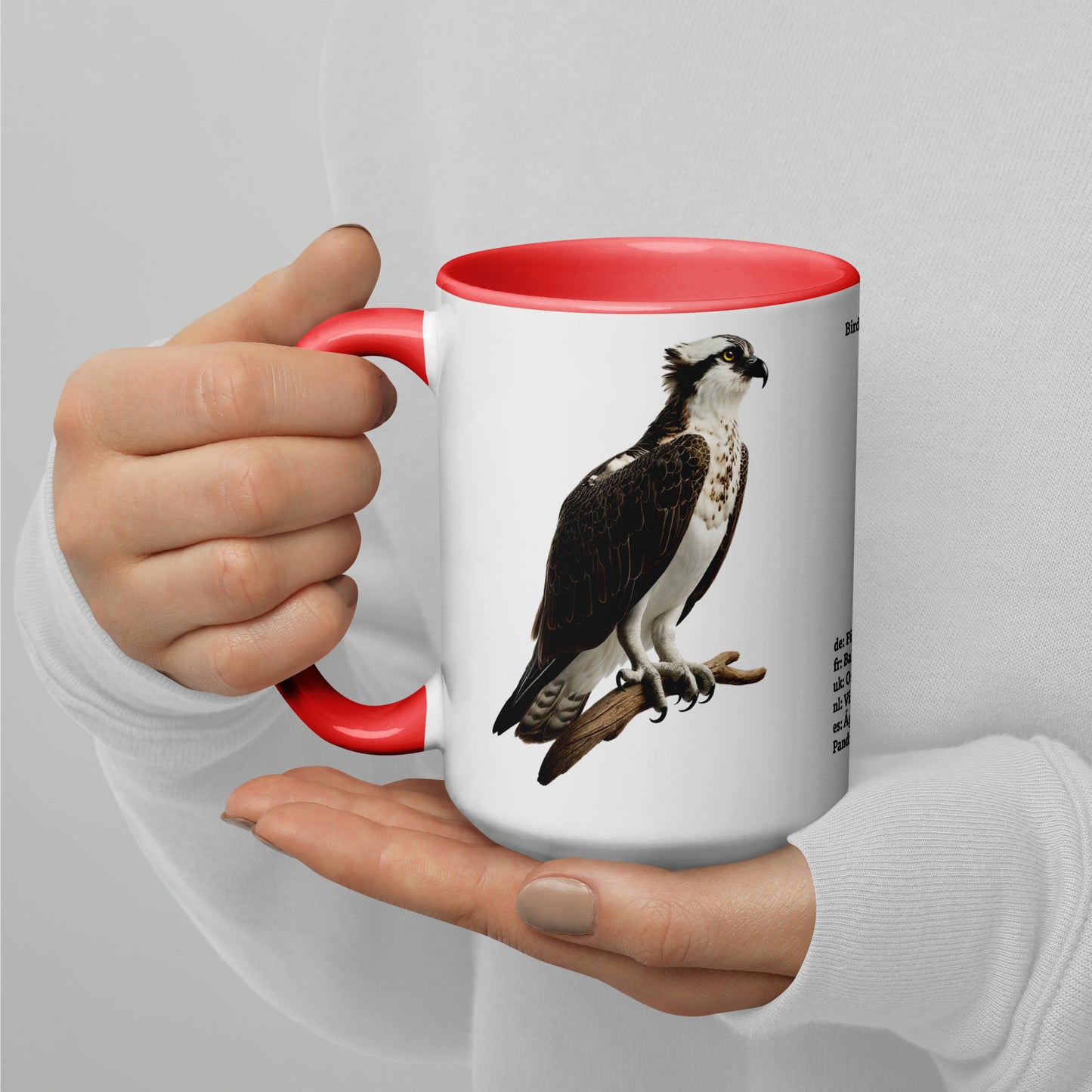 440ml Mug with colour inside Birds of Europe 13 Osprey