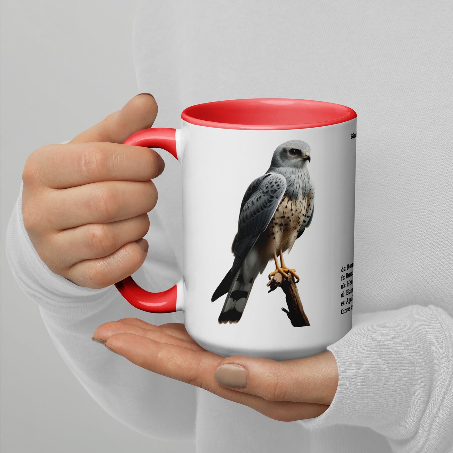 440ml Mug with colour inside Birds of Europe 14 Hen Harrier