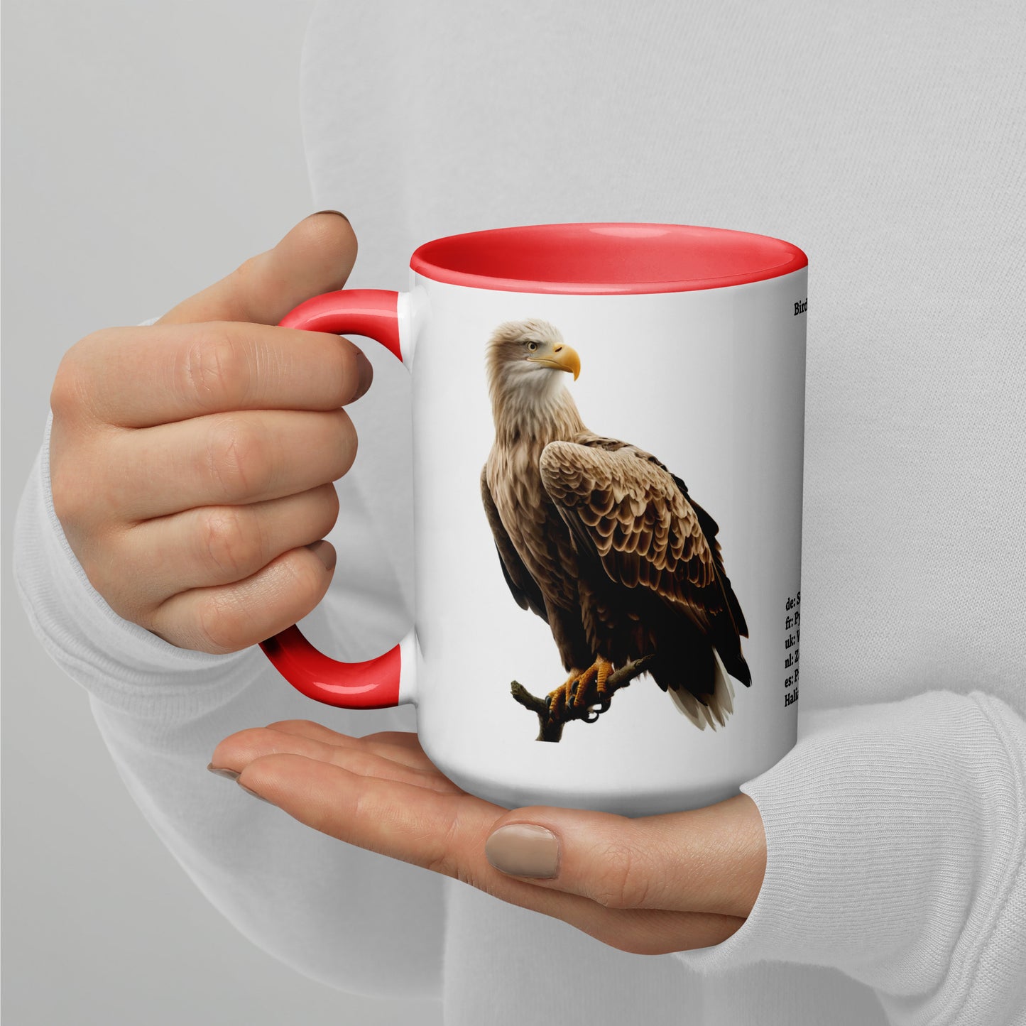 440ml Mug with colour inside Birds of Europe 15 White-tailed eagle