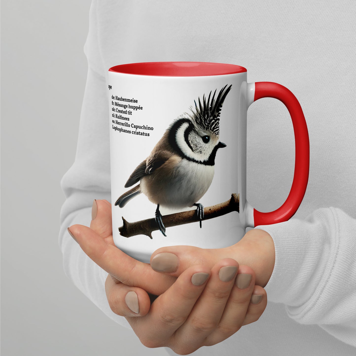 440ml Mug with colour inside Birds of Europe 01 Sparrow & Crested Tit