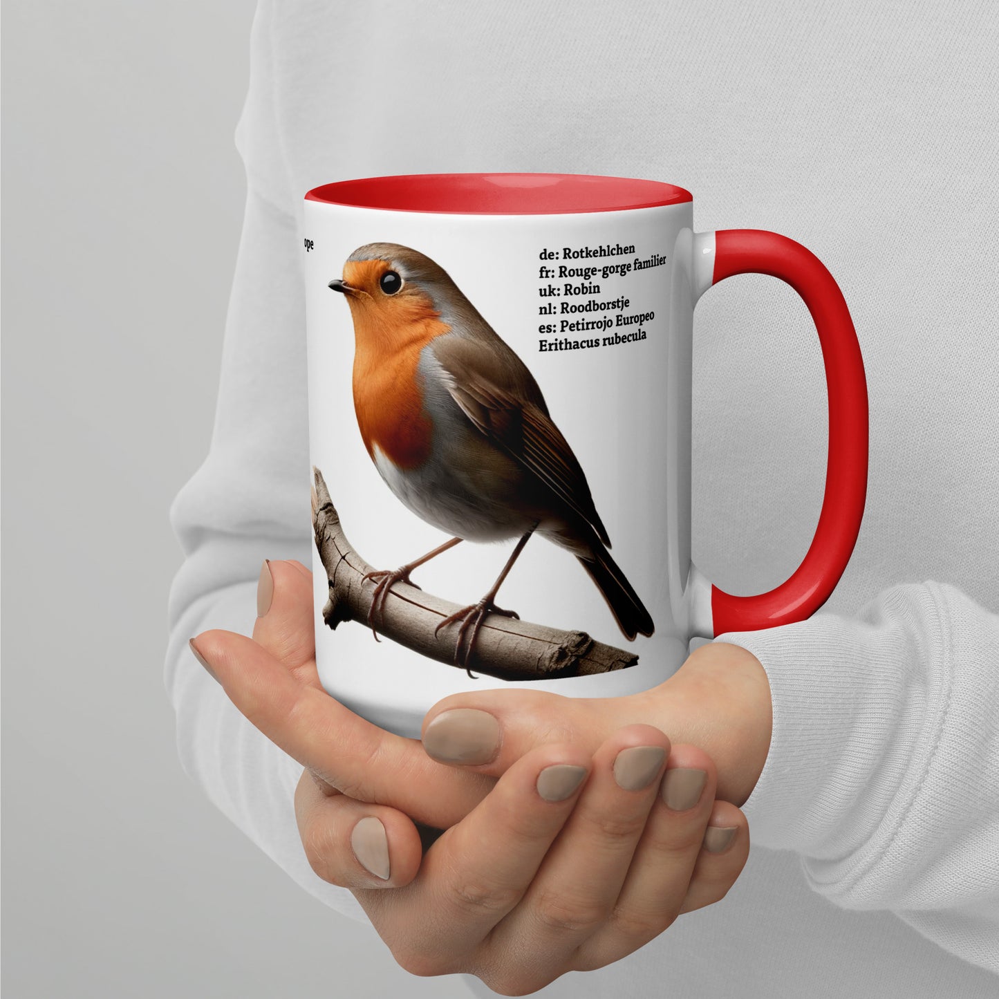 440ml Mug with colour inside Birds of Europe 03 Blackbird & Robin