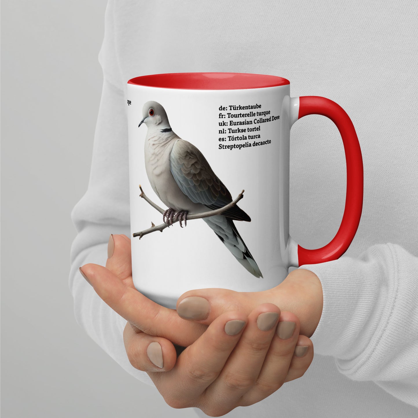 440ml Mug with colour inside Birds of Europe 04 Coal Tit & Collared Dove