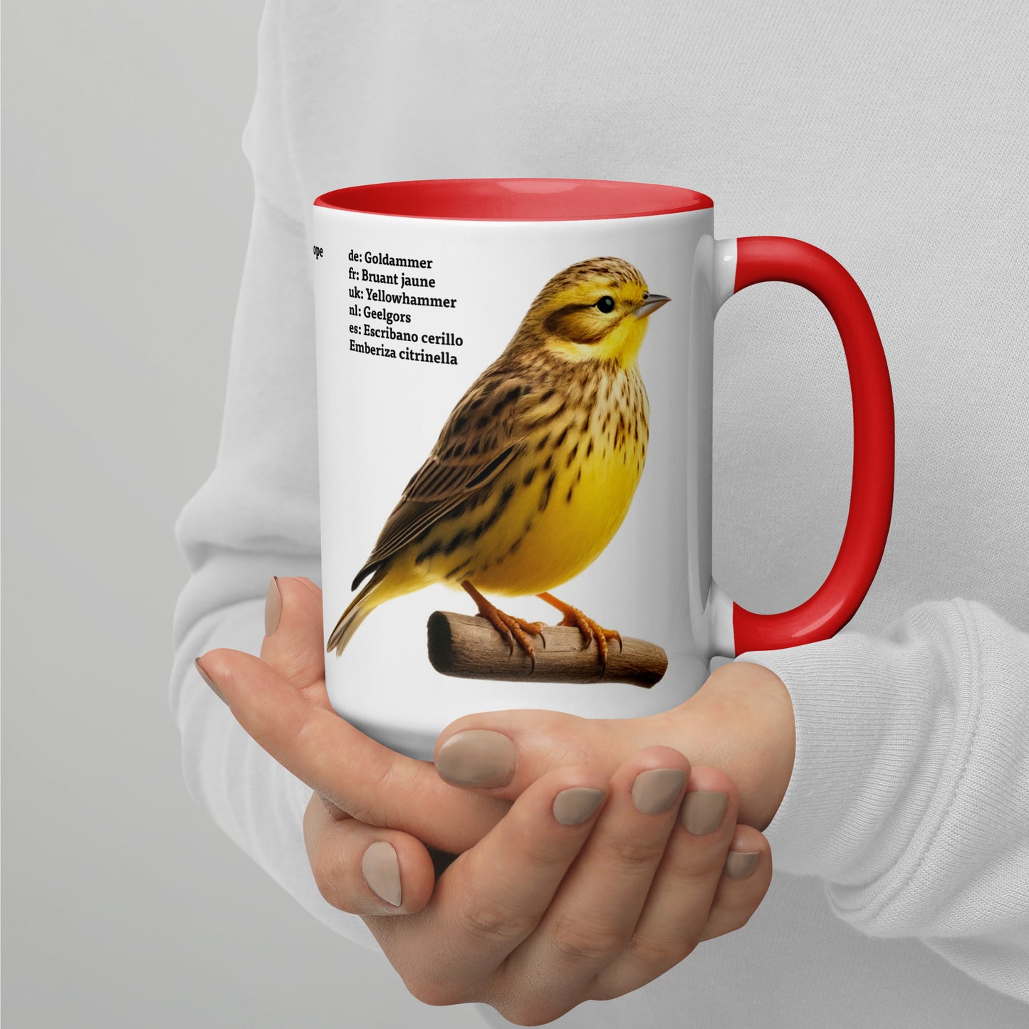 440ml Mug with colour inside Birds of Europe 05 White wagtail & Yellowhammer