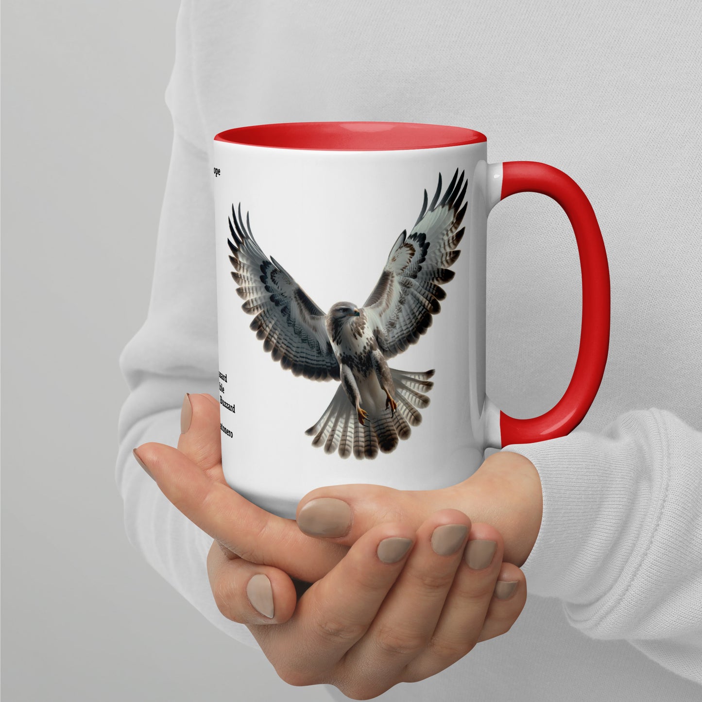 440ml Mug with colour inside Birds of Europe 07 Buzzard