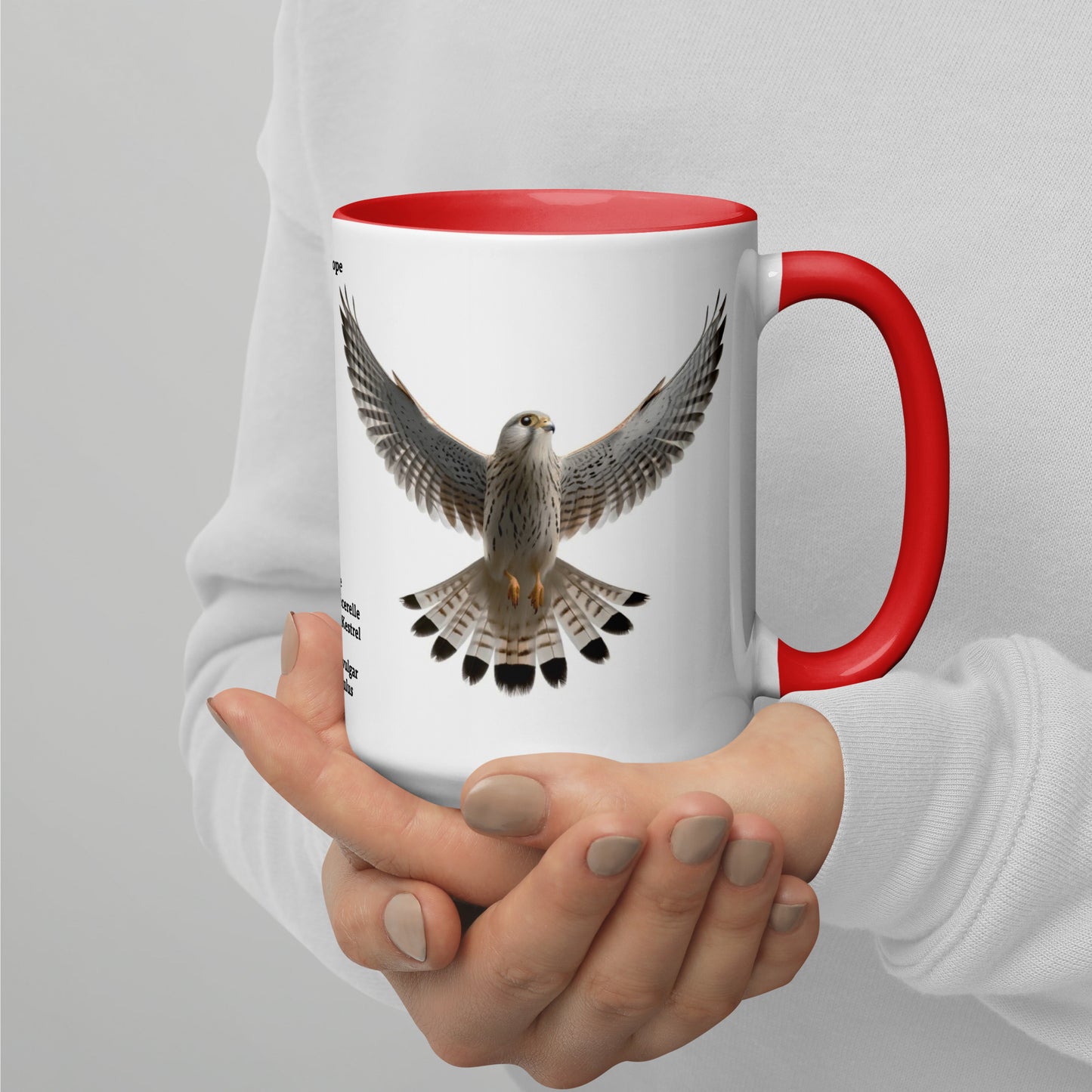 440ml Mug with colour inside Birds of Europe 08 Kestrel