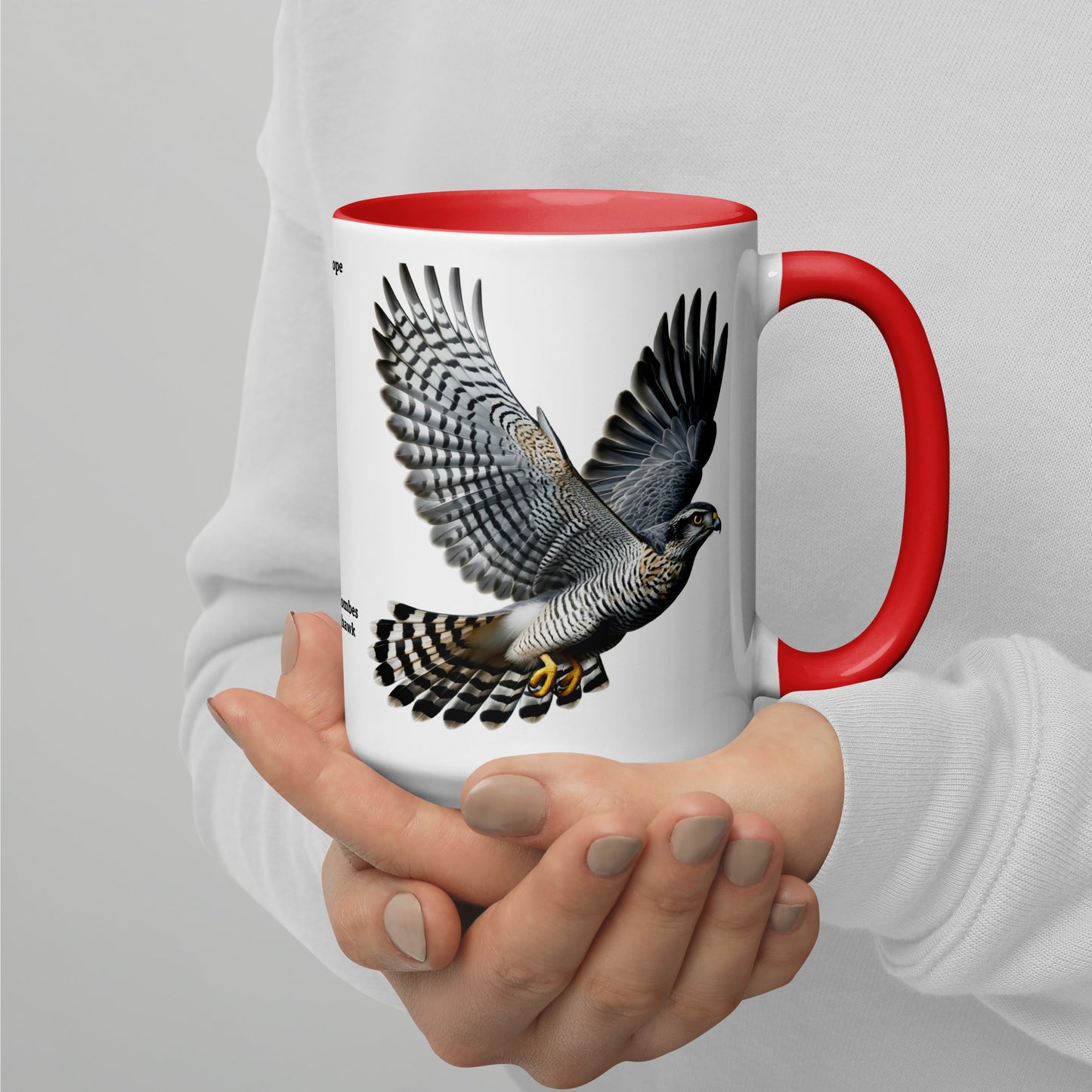 440ml Mug with colour inside Birds of Europe 09 Northern Goshawk