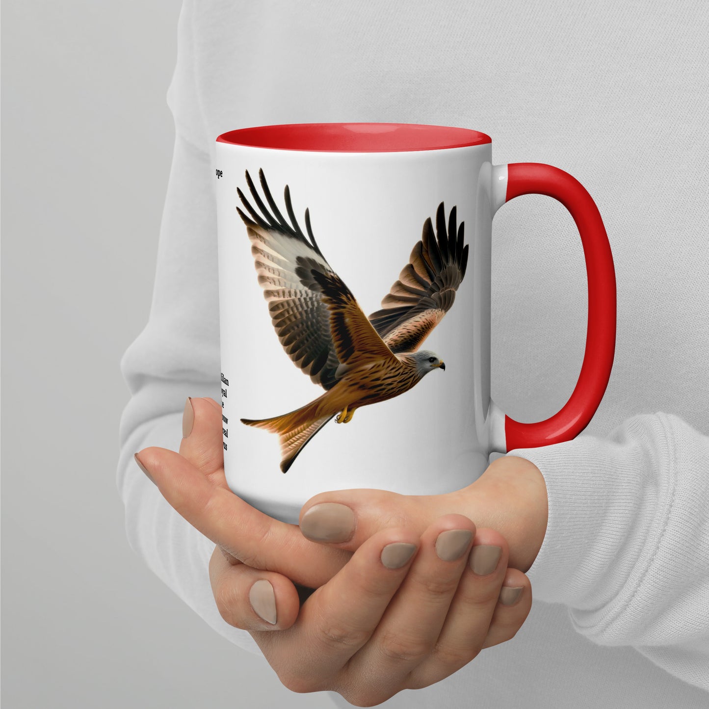 440ml Mug with colour inside Birds of Europe 10 Red Kite