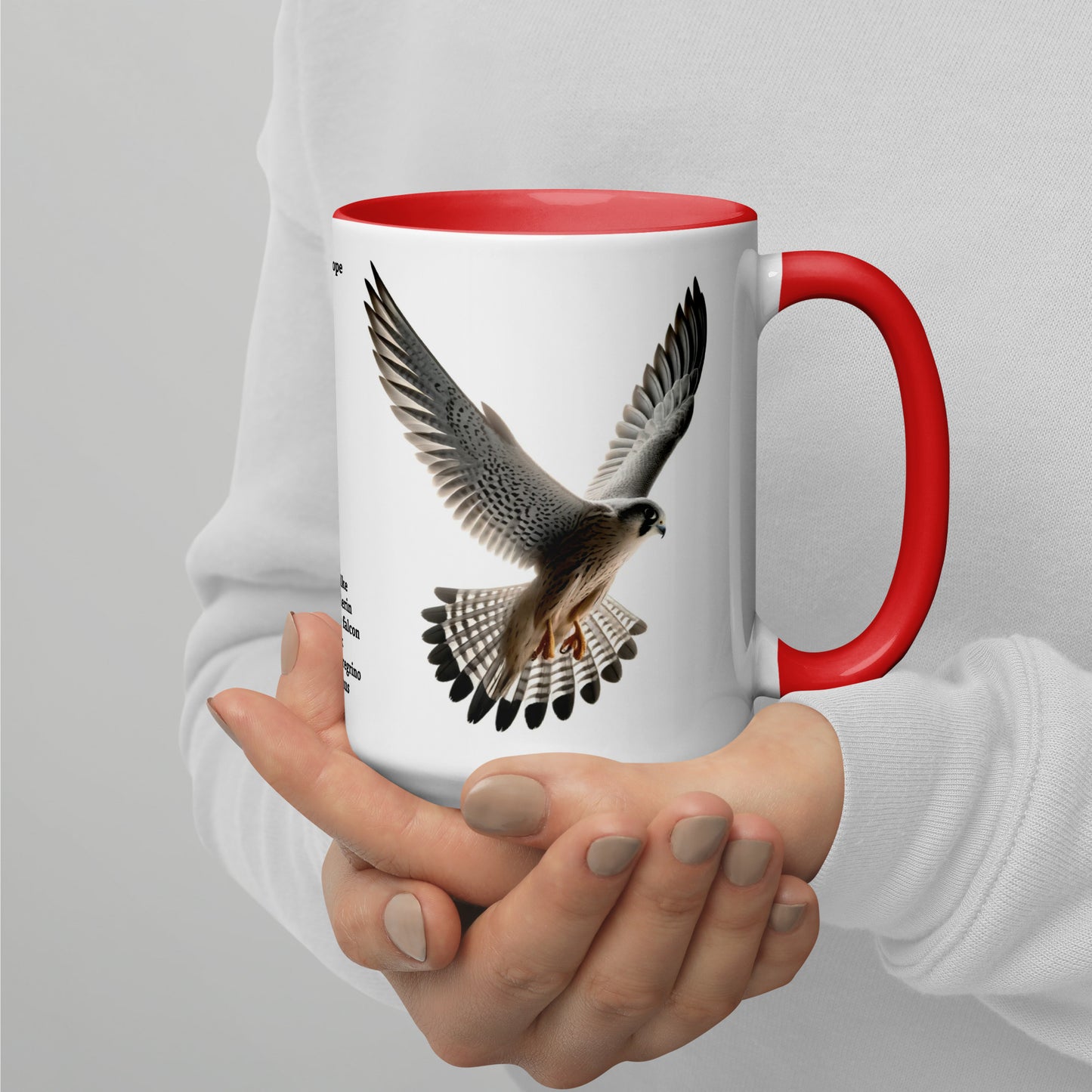 440ml Mug with colour inside Birds of Europe 11 Peregrine falcon