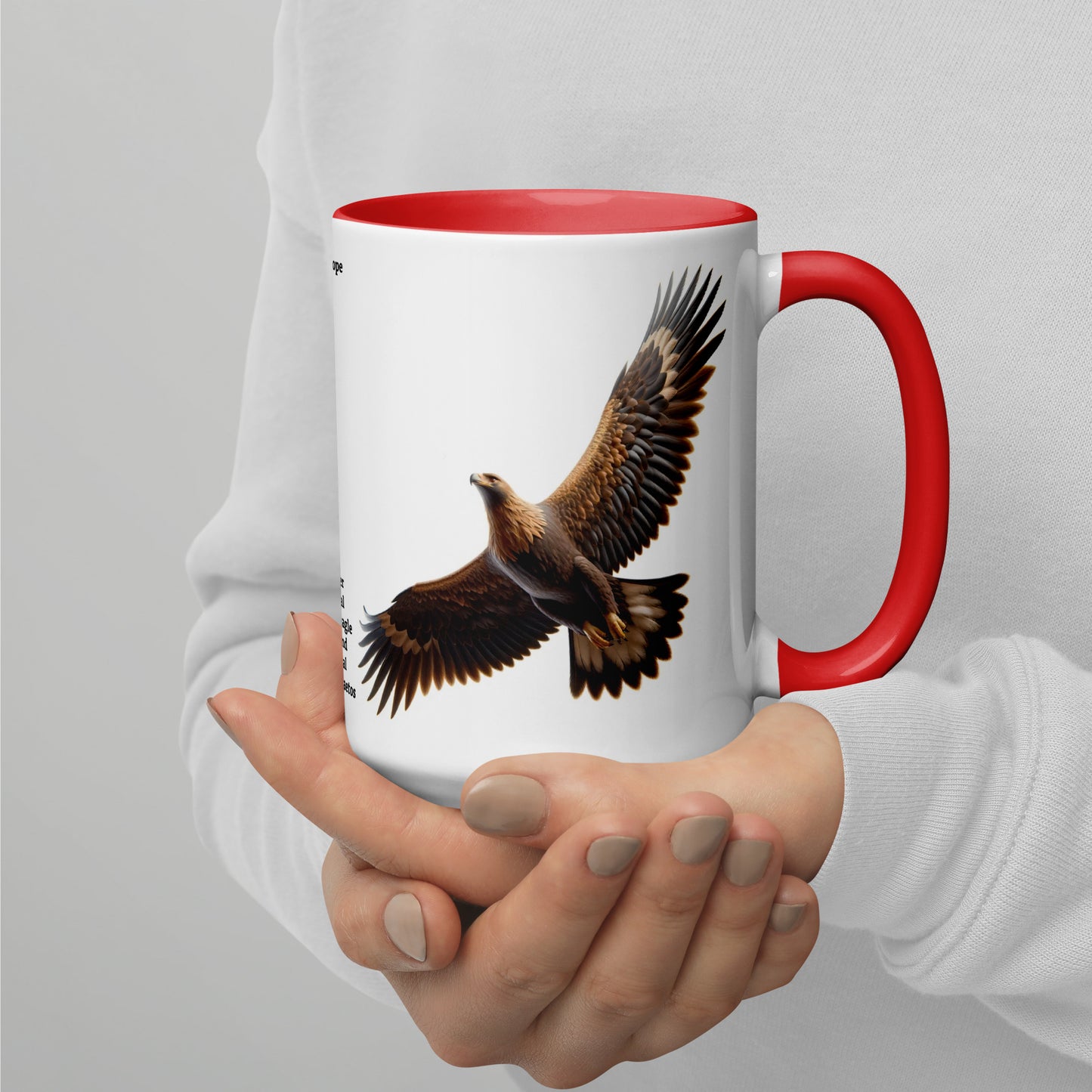 440ml Mug with colour inside Birds of Europe 12 Golden Eagle