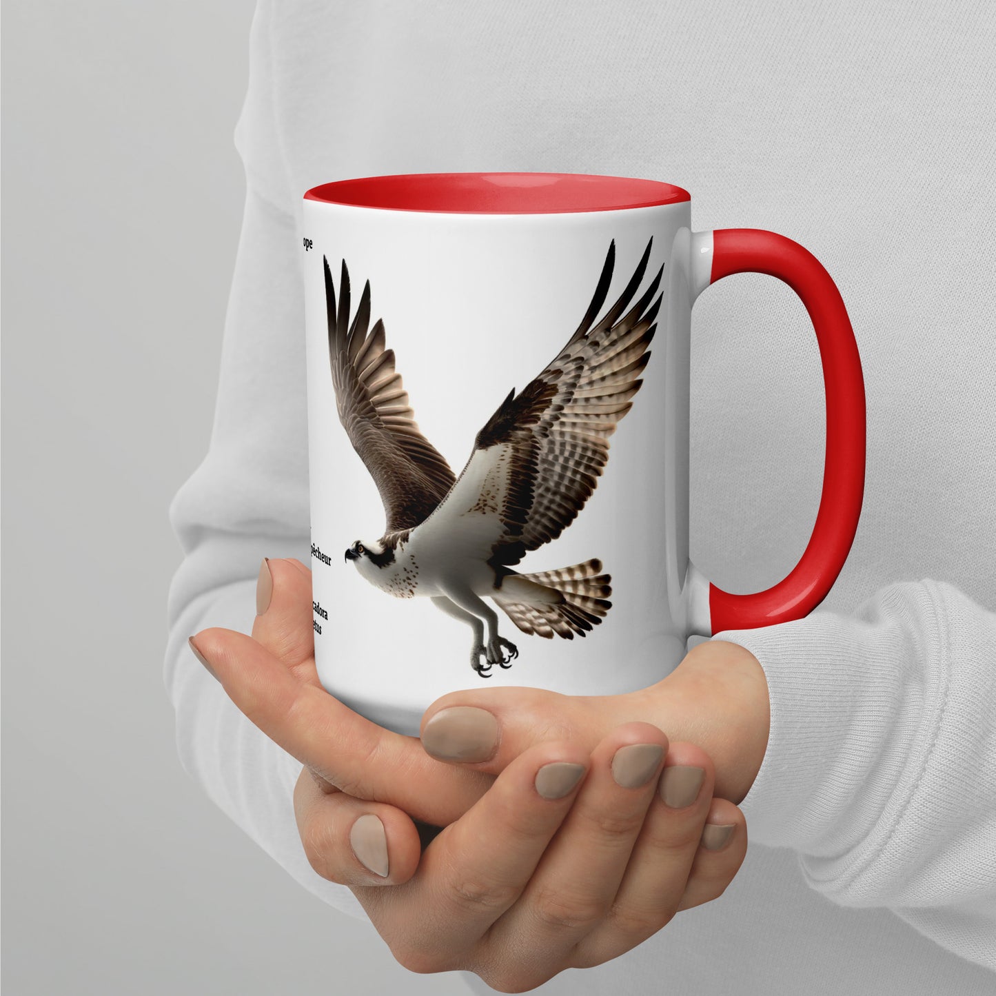 440ml Mug with colour inside Birds of Europe 13 Osprey