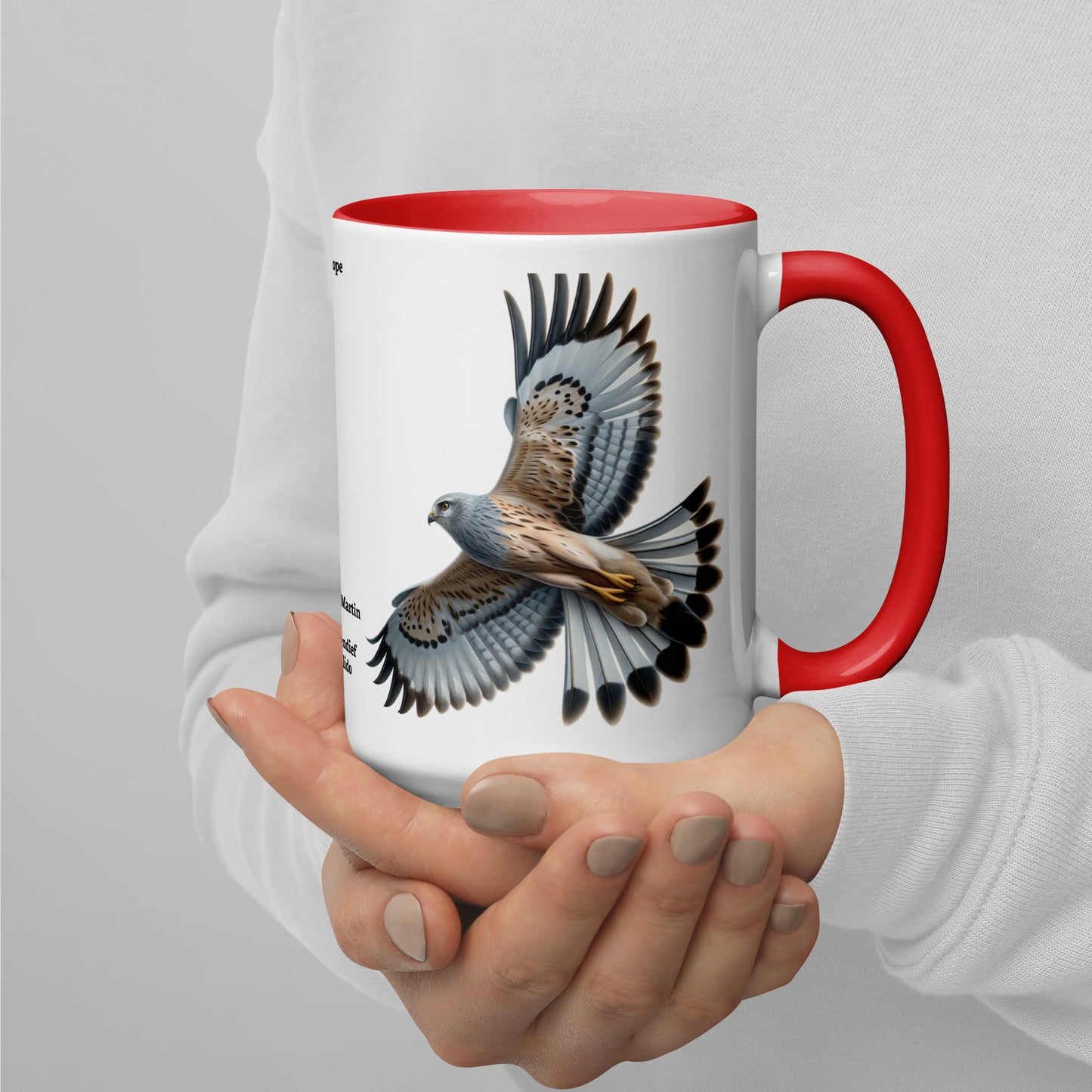 440ml Mug with colour inside Birds of Europe 14 Hen Harrier