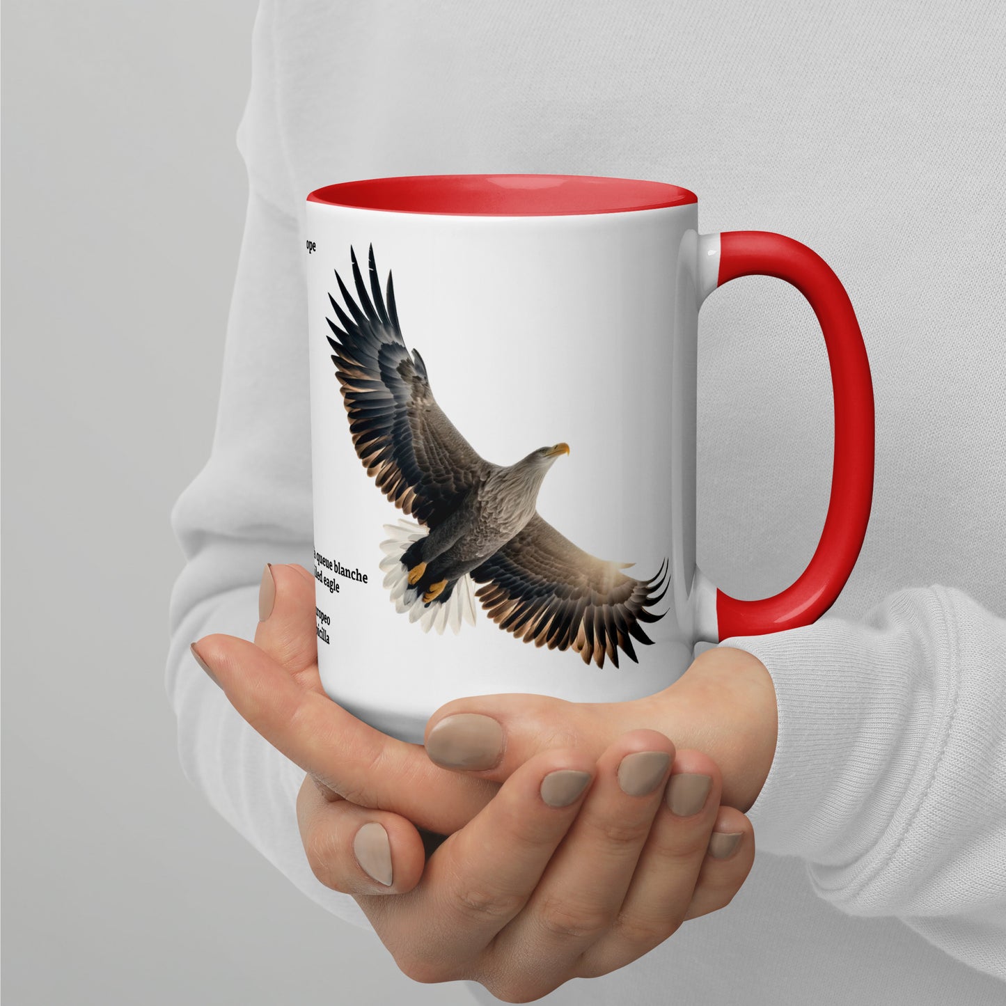 440ml Mug with colour inside Birds of Europe 15 White-tailed eagle